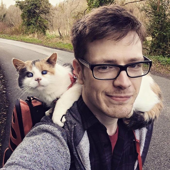 My Blind Rescue Cat Just Climbed Ireland’s Highest Mountain For Charity!