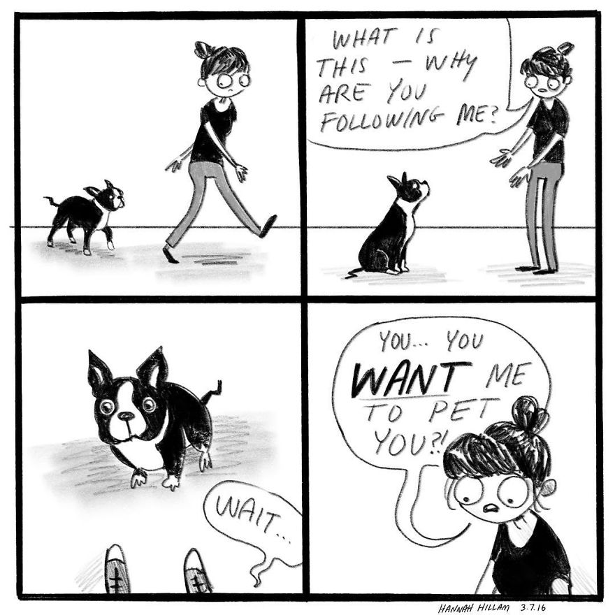 Modern-cat-lady-comics-hannah-hillam