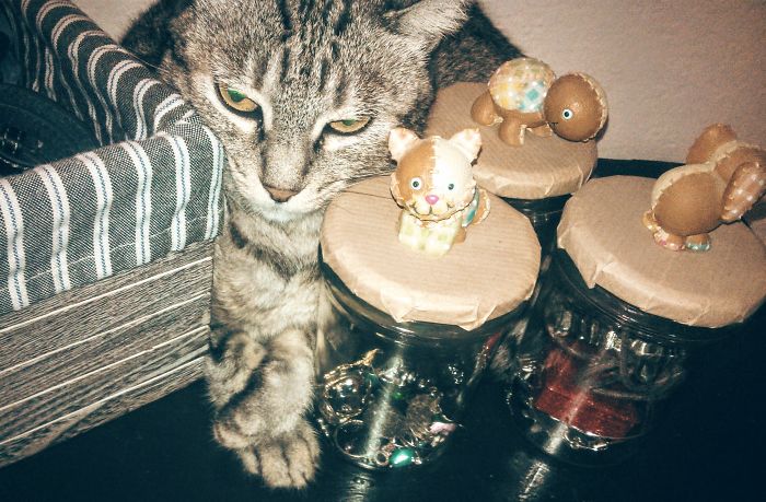 Stuck In The Middle With You ♪♫♫