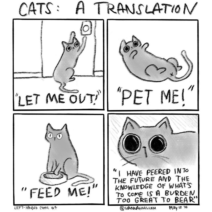 Modern-cat-lady-comics-hannah-hillam