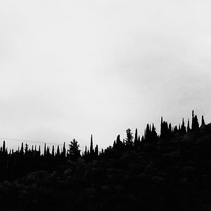 552fae5bb28aa avatar