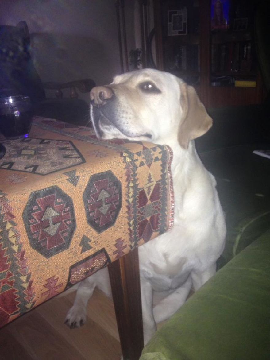 "when You Realize That It's More Than Just Love"