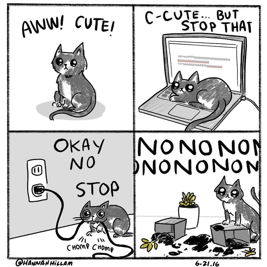 Modern-cat-lady-comics-hannah-hillam