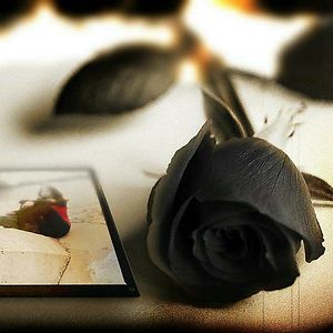 missbehavin16 avatar