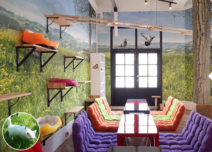 We Reveal The Secret Life Of Our Pets