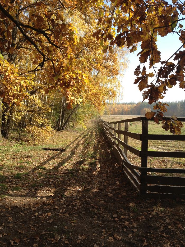 Suburb (kyiv, Ukraine)
