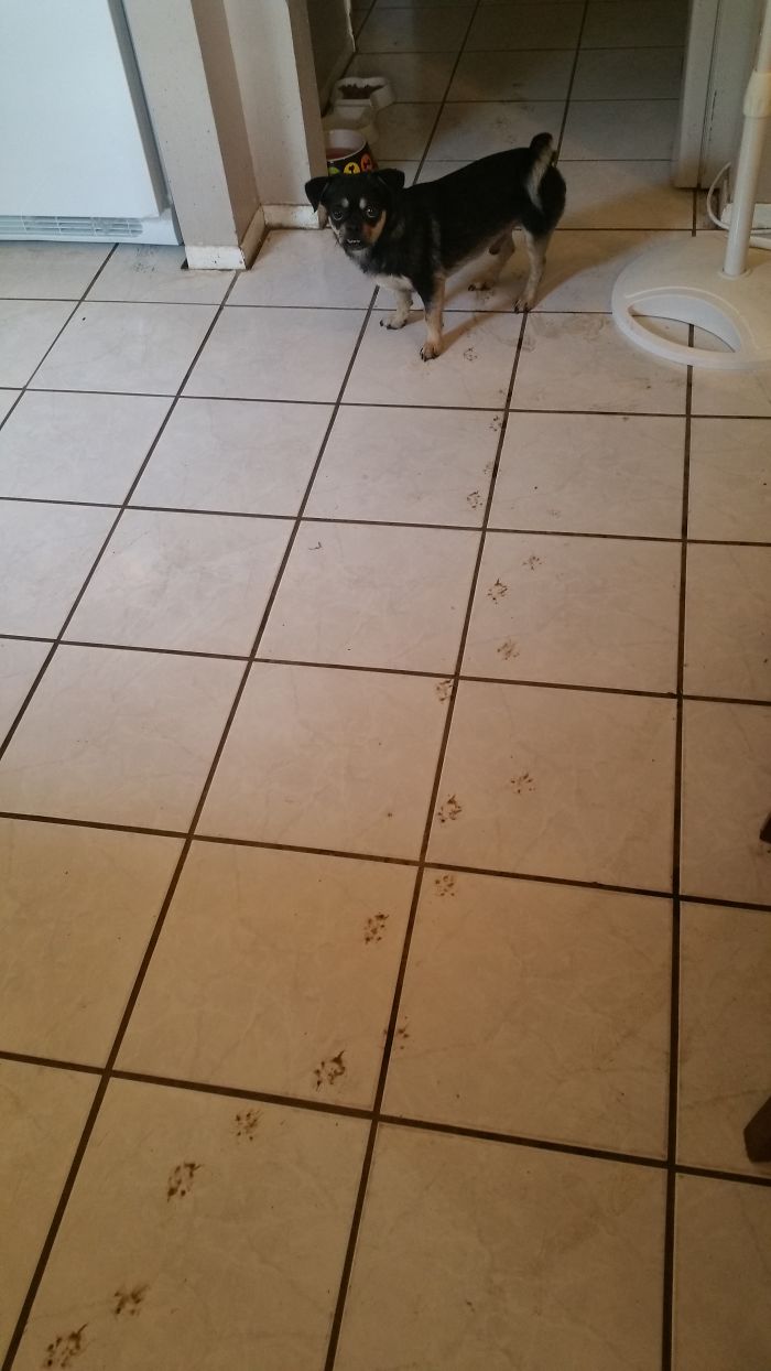 This Is Why I Never Mop.