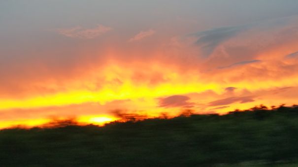 Sunset Looks Like Forest Fire