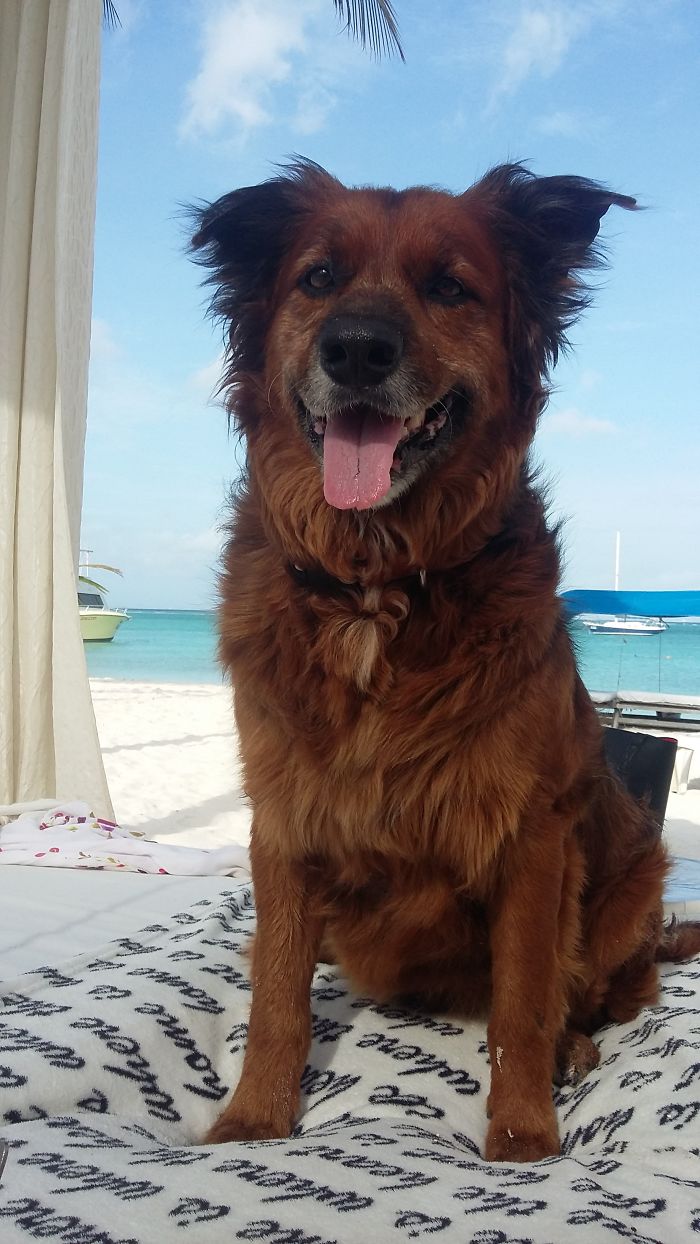 Sean Today, 4 Months Later