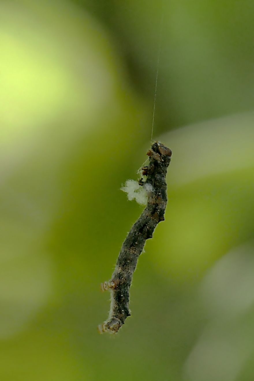 Beautiful Nature Pictures Beautiful Nature Pictures