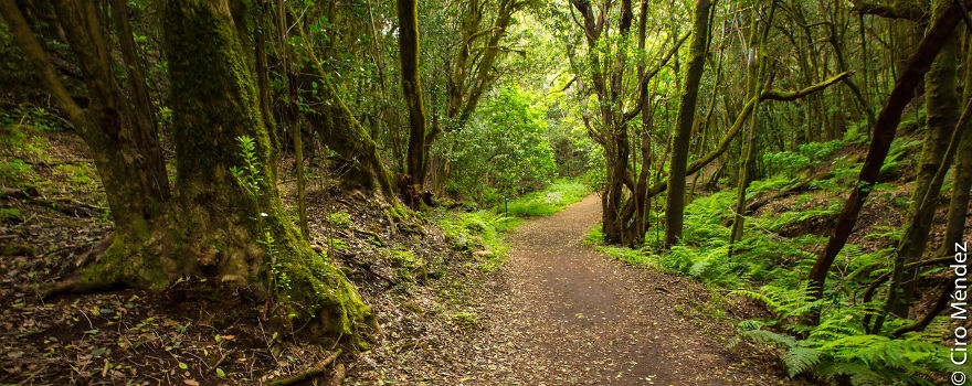 Beautiful Nature Pictures Beautiful Nature Pictures