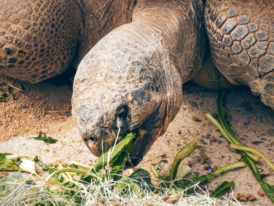 Beautiful Nature Pictures Beautiful Nature Pictures