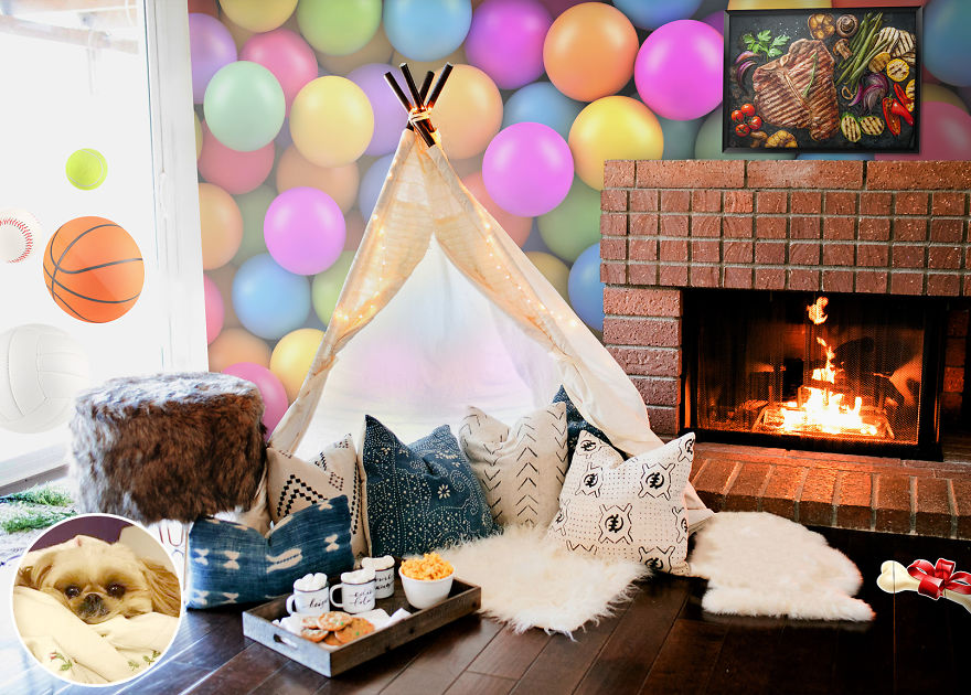 We Reveal The Secret Life Of Our Pets