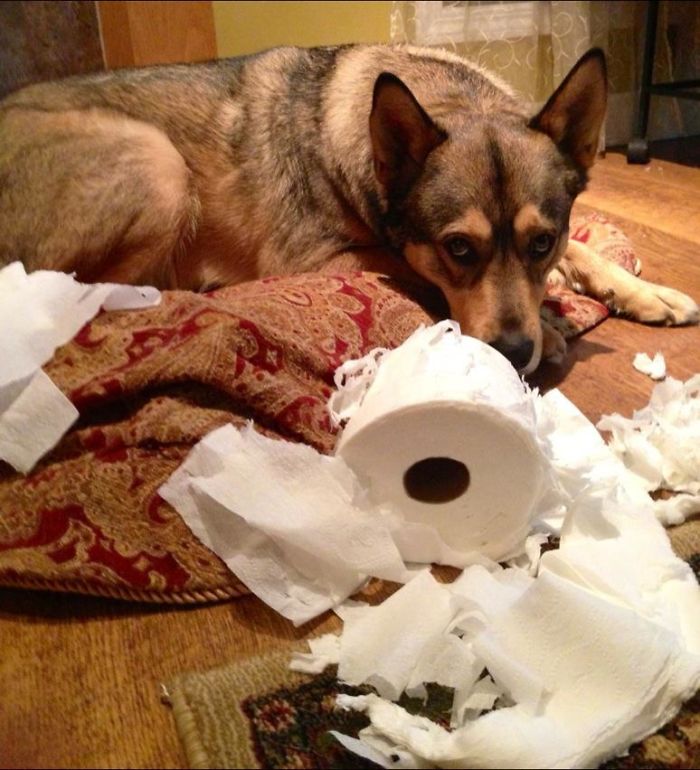 Can't Look Much More Guilty Than That Mario!