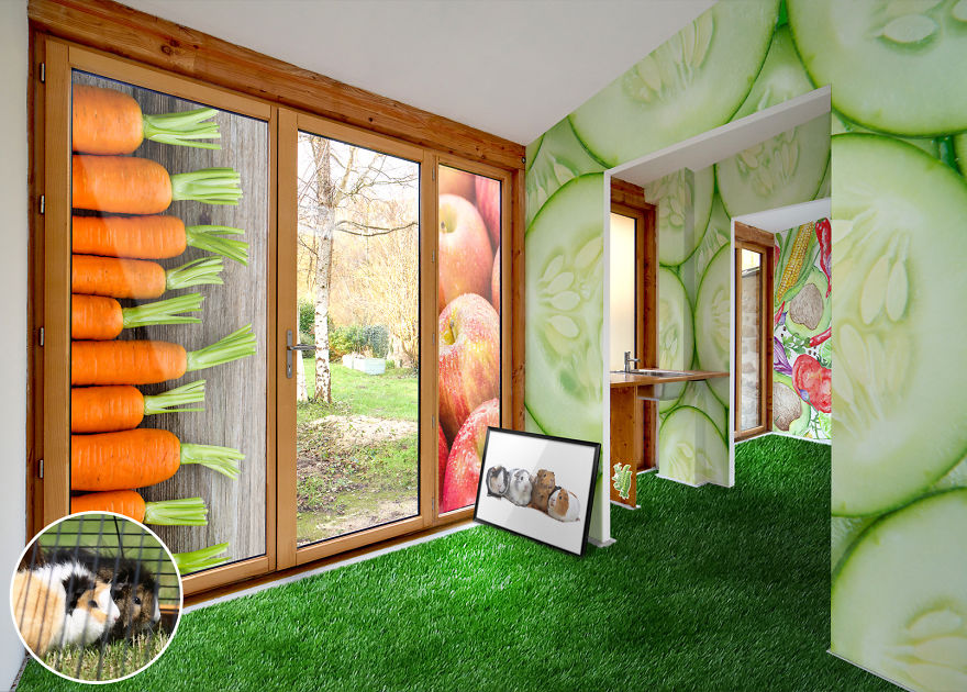 We Reveal The Secret Life Of Our Pets