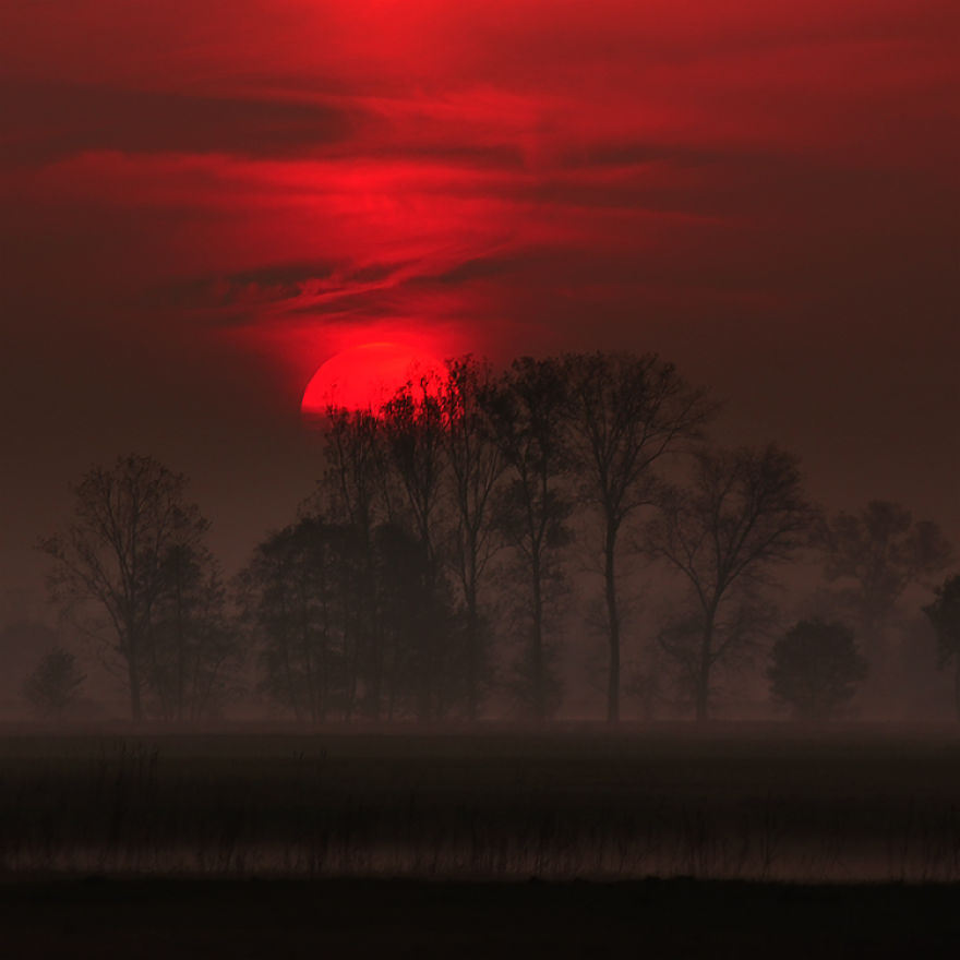 I Photograph The Beautiful Nature Of Poland