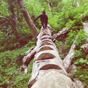 sanket_shrestha avatar