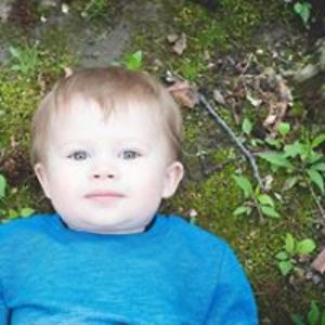 safirewildblue avatar