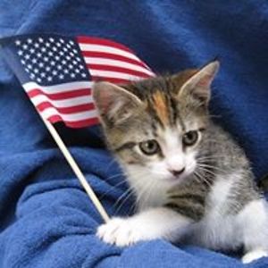 howiesgirlami2004 avatar