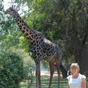 the_waterhouses avatar