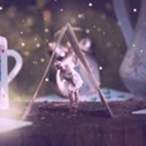 ekaterina_bozhilova avatar