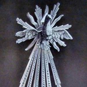 blueorchidoasis avatar