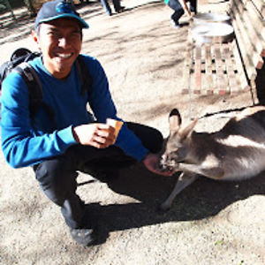 adityodwijananto avatar