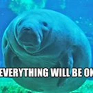 jane_trobridge avatar