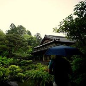 sameold_terry avatar