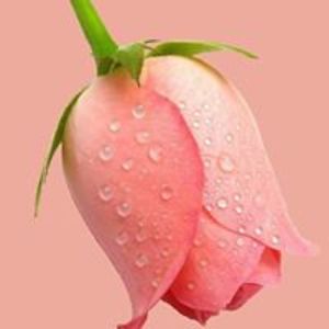 isabel_whitman avatar