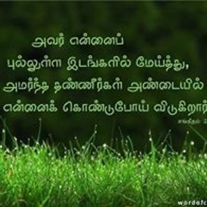 kunasekaram_vasikaran avatar