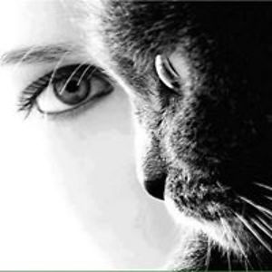 irina_muresan avatar