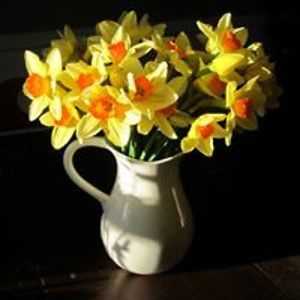 sabrina_henneman avatar