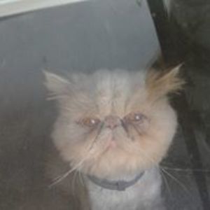 boyettekelly22 avatar