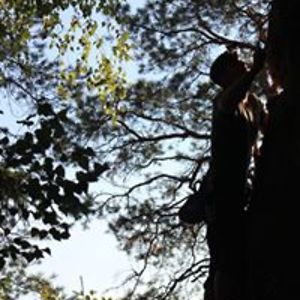 david_steinberger avatar