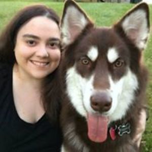 museofdestiny avatar