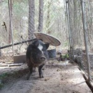 michaels29072 avatar