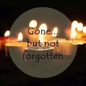 martinlelanie avatar