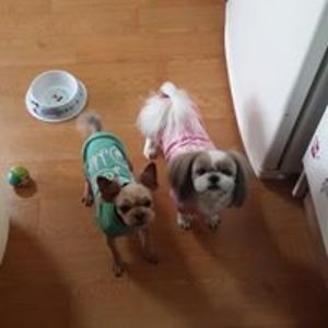 568524719996881 avatar