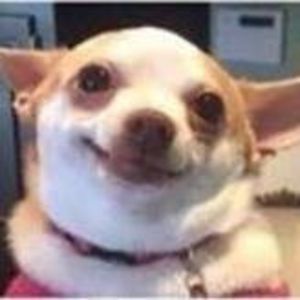 egregersen233 avatar