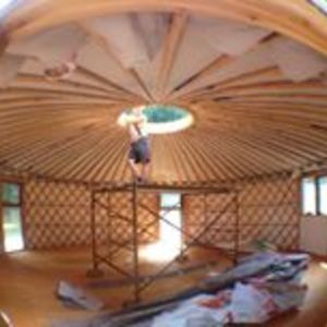 jedidiahwiebe avatar