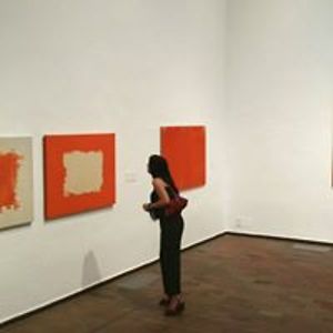 annewhitecaroll avatar