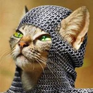 stacie_cornett avatar