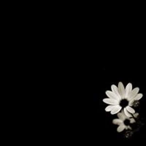 turtlemamaof3 avatar