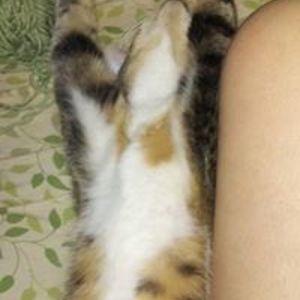 daddysgirlhmc avatar