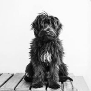 emilio_jimenez_hidalgo avatar