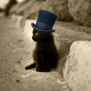 aleksandrawolniczak avatar