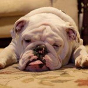 racha_leasure avatar