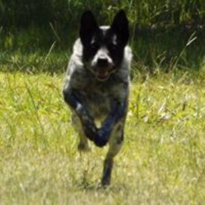 goldenwords118 avatar