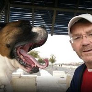 aharon_izraeli avatar